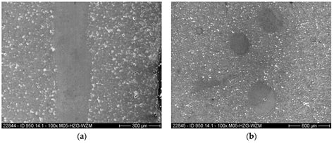 Metal Injection Molding (MIM) of Magnesium and Its Alloys