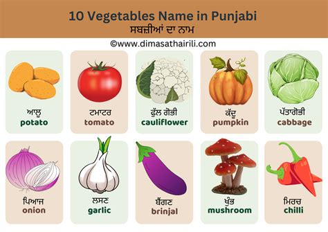 30+ Vegetables Names in Punjabi and English with Pictures (ਸਬਜ਼ੀਆਂ ਦਾ ਨਾਮ)