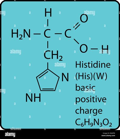 Histidine Amino Acid Structure Boc L Histidine, 25 G,