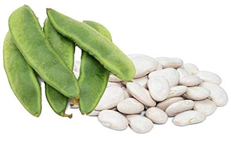 Buy Henderson Lima Bush Bean for ing, 30+ Per Packet, (Isla's Garden ...