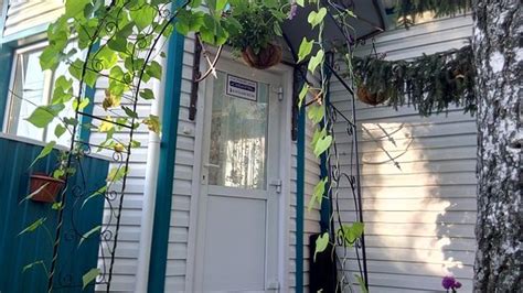 SIBIRYAK (Rebrikha) - Guesthouse Reviews & Photos - Tripadvisor