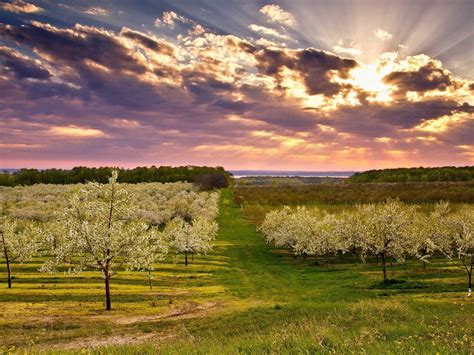 Image result for Spring Landscape