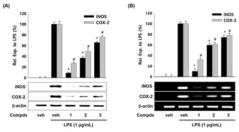 Anti-Inflammatory Compounds from Atractylodes macrocephala