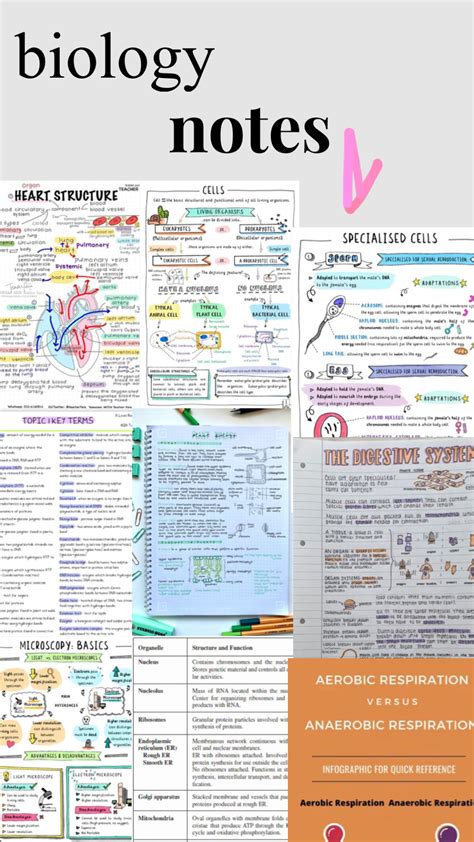 (gcse) #biology #gcse #study | Gcse biology revision, Biology notes, Gcse science