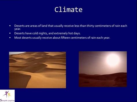 Desert Environment 的图像结果
