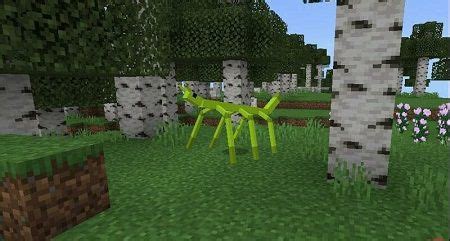 Minecraft Insect Mod 的图像结果