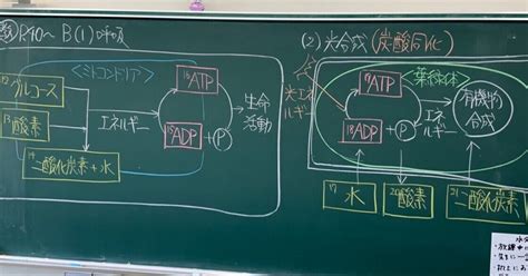 Learn OS Module Python From Beginning に対する画像結果