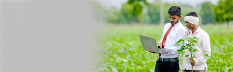 Dr. C.V.Raman University