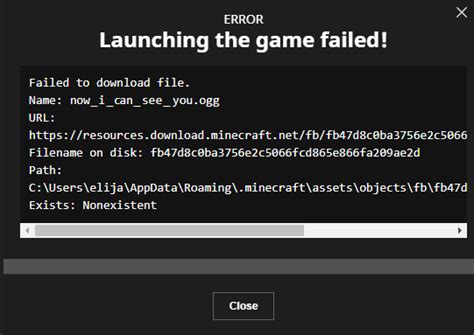 Image result for How to Fix Minecraft Java Launcher Minecraft Error DLL