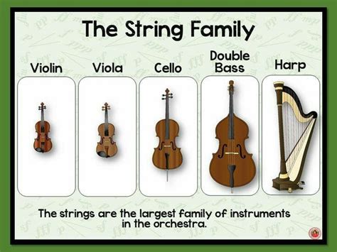 Image result for Types of Instrument Groups