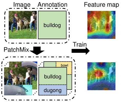 Image result for How to Digitize FSL