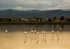 vacanze cervia vacanze al mare a cervia scegli il tuo prossimo albergo vacanze cervia vacanze al mare a cervia scegli il tuo prossimo albergo