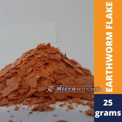 Microworms.in – Live Fish Food Cultures & Starter Cultures Store in ...