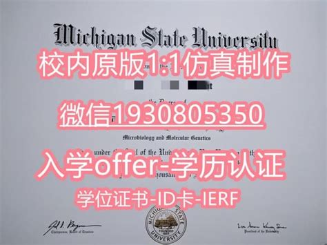 国外文凭补办密歇根州立大学毕业证书全套办理 | PPT