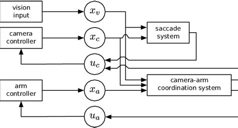 Image result for Computational Model Structure
