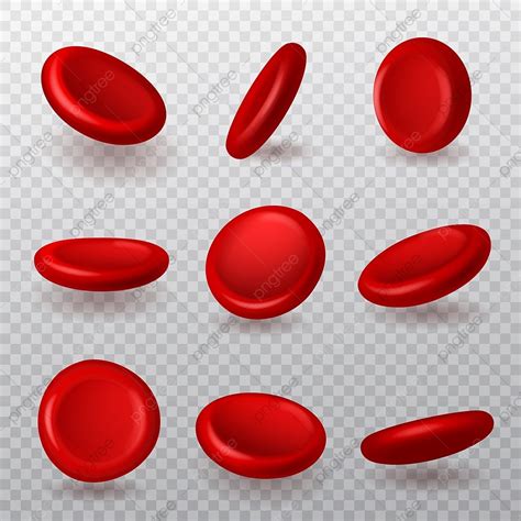 Red Blood Cells Cell Realistic, Artery, Shape, Red PNG and Vector with ...