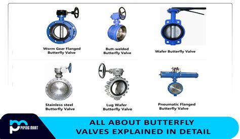 Butterfly Valve Seat Types at Donna Ware blog