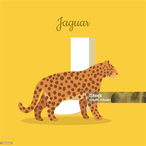 Animals Alphabet Letter J Stock Illustration - Download Image Now ...