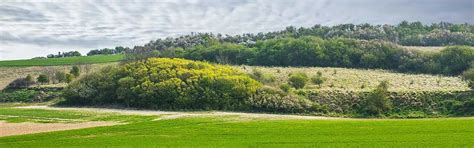 Hôtel Campanile NATURE Lille – Lomme