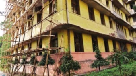 Ballygunge: Cu’s Ballygunge Campus Gets A Healing Touch | Kolkata News ...
