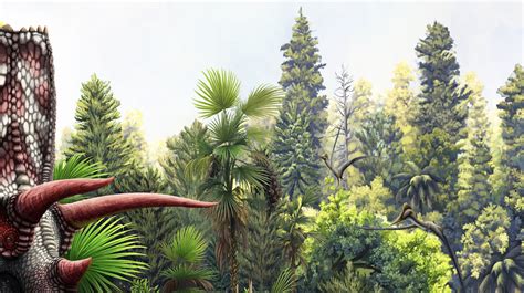 Late Cretaceous Plants