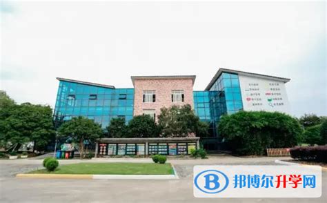 北京青苗国际双语学校2023年入学条件