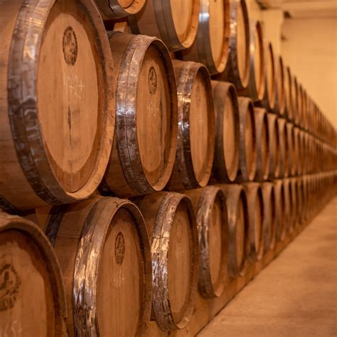 IJEVAN WINE-BRANDY FACTORY (2025) All You Need to Know BEFORE You Go ...