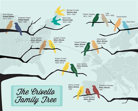 Image result for Family Tree Infographic