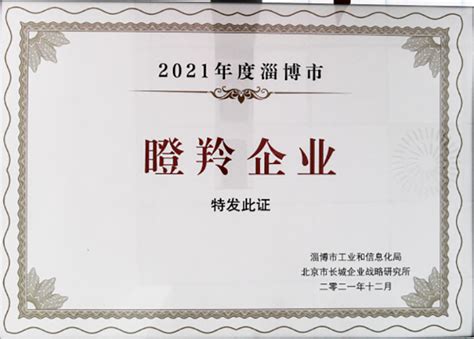 新华健康荣获2021年度淄博市瞪羚企业称号---新华健康