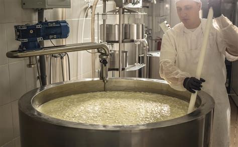 Image result for Cheese Manufacturing Process