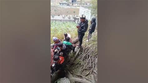 云南昭通暴雨引发山洪 十余村庄受灾_政经频道_财新网