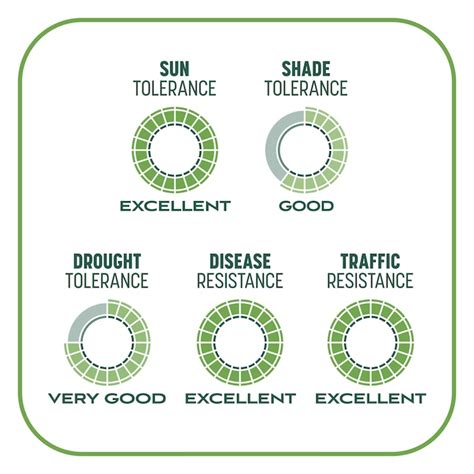 Pennington Smart Patch 10-lb Tall Fescue Lawn Repair Mix 100545665 at ...