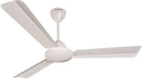 Crompton JURA PRIME 1200 mm Anti Dust 3 Blade Ceiling Fan (Conch Cream ...