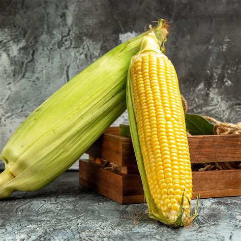 American Sweet Corn-(250-400gms)