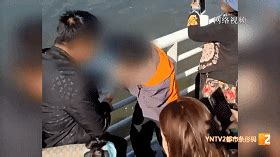 父母帮男孩抓海鸥强行塞进瓶子，当地：罚款2千，未按照上限进行处罚_腾讯新闻