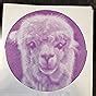 SPIROGLYPHICS: ANIMALS : Pavitte, Thomas: Amazon.in: Books