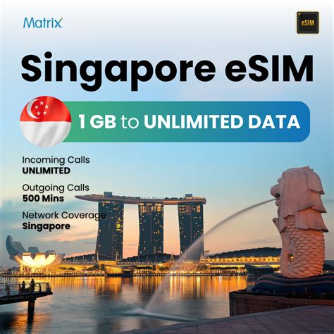 Image result for Matrix Sim Card