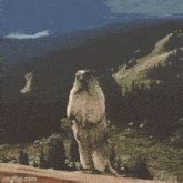 Image result for Frederic Oddloop ASCII-art