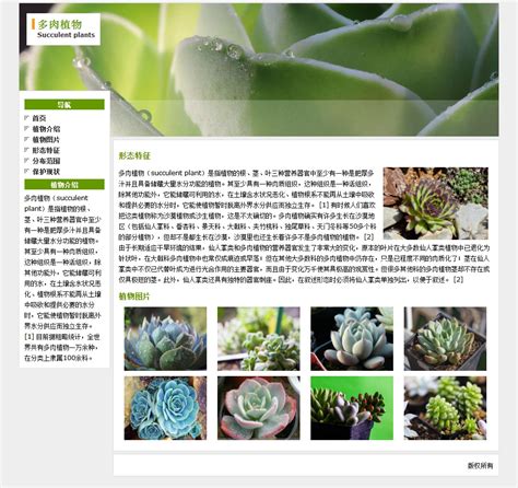 多肉植物学生网页设计成品-dw网页制作
