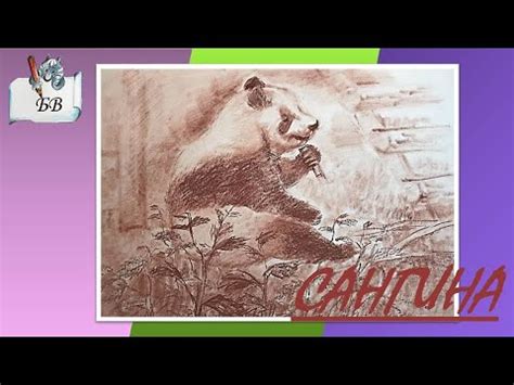 Как рисовать сангиной | Панда | Легко | Для детей 10+ #сангина # ...