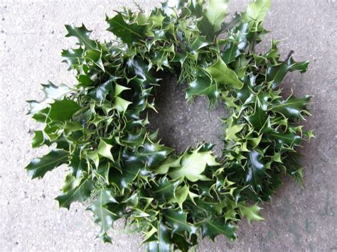 Fresh Holly - Wreath Supplies