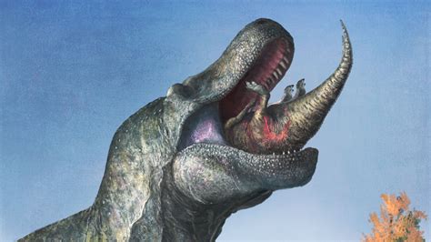 Are Sharks Related To Dinosaurs? The Jawdropping Truth About Marine Giants