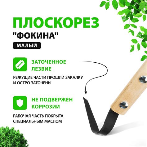 Плоскорез садовый "Фокина", 12 х 87.5 см, с деревянным черенком, малый ...