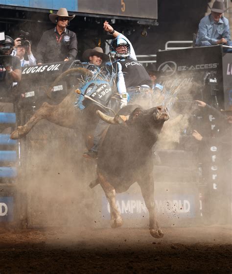 PBR Teams Championship Minimalist Background Minimalist Minimalist