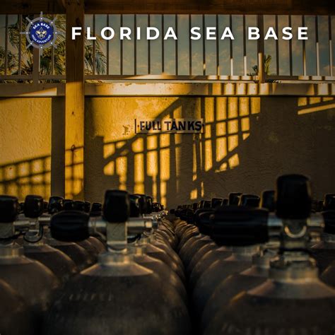 Florida Sea Base - BSA | It's World Animal Day! Check out this amazing ...