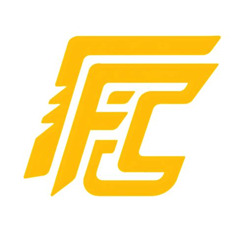 API Fire Store 的图像结果