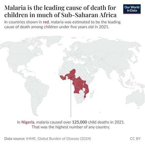 White Lighter Deaths