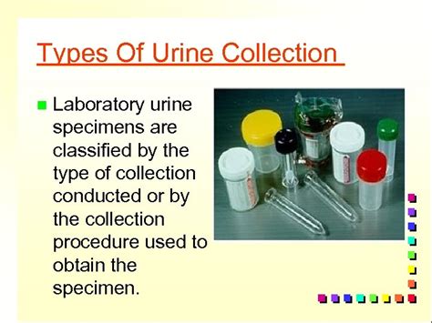 Image result for Urine Collection Method