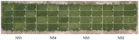 Using Sewage Sludge as Alternative Fertilizer: Effects on Turf ...