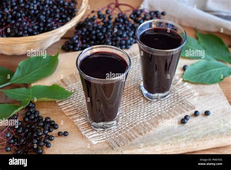 Image result for Box Elder Tree Syrup